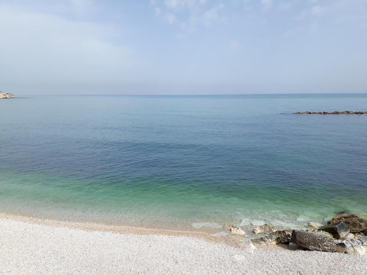 Salsello 3* Bisceglie